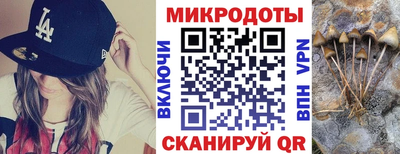 даркнет клад магазин наркотиков Кизилюрт Псилоцибиновые грибы Cubensis