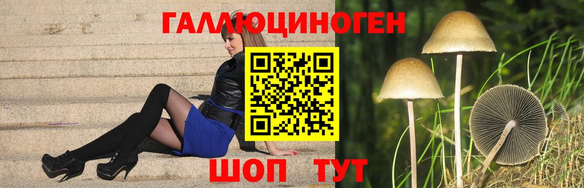 Псилоцибиновые грибы мухоморы Кизилюрт